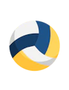 Gold365 Website Icon - volleyball
