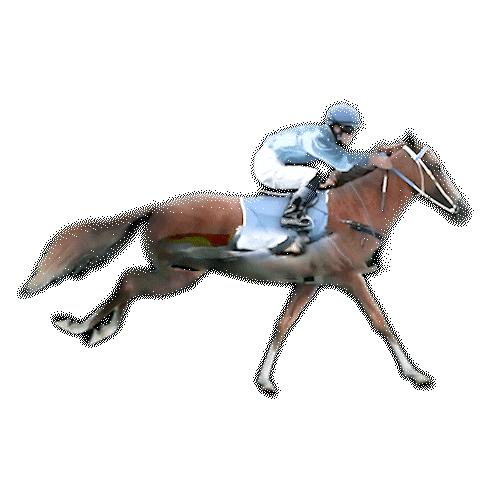 Gold365 Website Icon - Horse Racing